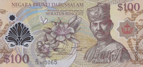 Brunei_BCMB_100_dollars_2013.00.00_B202c_P29_D-19_003065_f