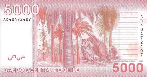 Chile_BCC_5000_pesos_2014.00.00_B298e_P163_AD_40472407_r