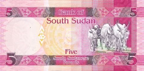 South_Sudan_BSS_5_pounds_2015.00.00_B111a_P11_AL_5956000_r